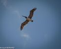 DSC_8067.jpg