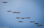 DSC_8069.jpg