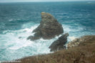 P8304120.jpg