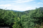 OLYMP_0364.jpg