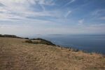 DSC_6349.jpg