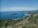 P7250027.webp