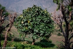 DSC_1519.jpg
