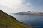DSC_7785.jpg