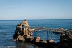 DSC_2578.jpg