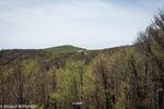 DSC_2693.jpg