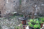DSC_4201.jpg
