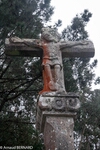 DSC_4202.jpg