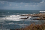 DSC_4209.jpg