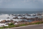 DSC_4212.jpg